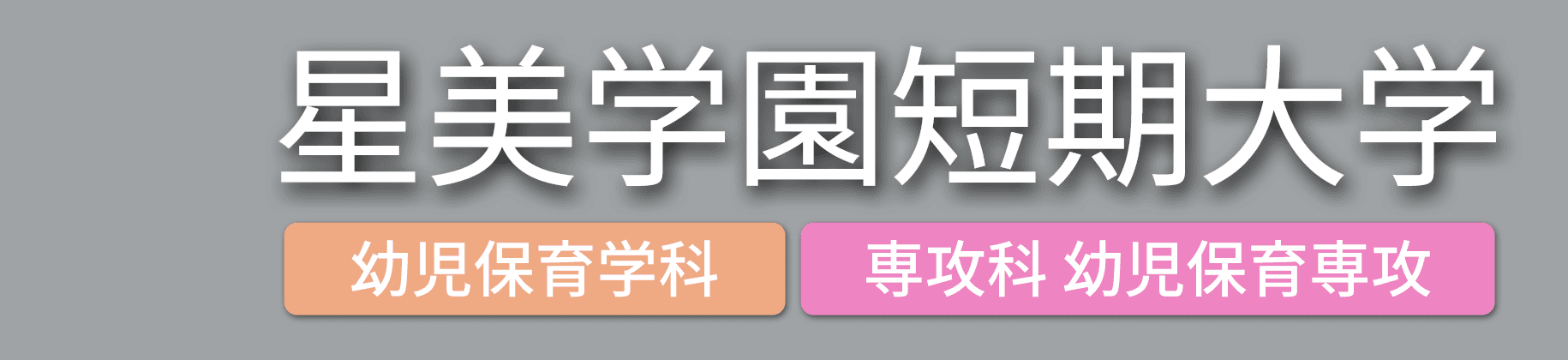 星美学園短期大学 幼児保育学科 専攻科 幼児保育専攻